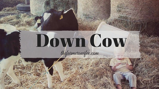 Down Cow