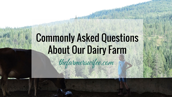 Commonly Asked Questions About Our Dairy Farm