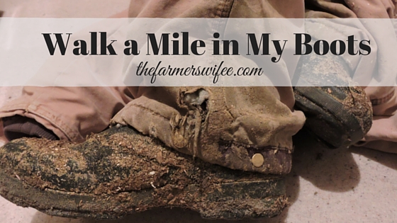Walk a Mile in My Barn Boots