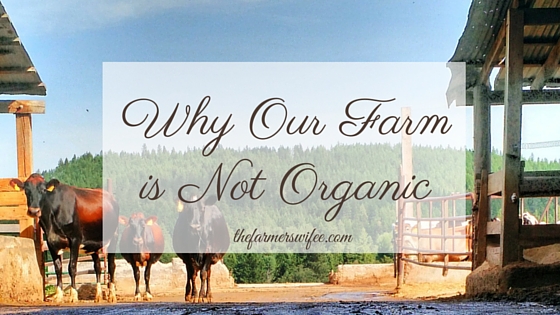 Why Our Farm is Not Organic