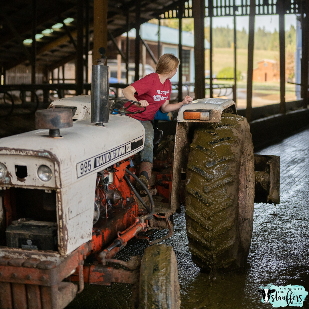 The Importance of Nutrient Management Plans for Washington State Dairy Farms