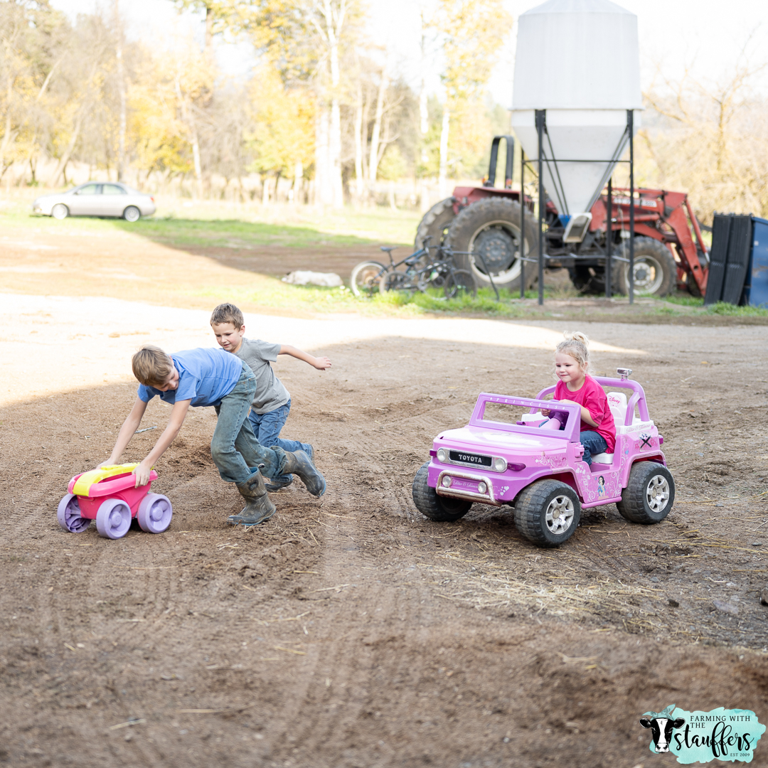 Homeschooling on the Farm: Cultivating Learning in a Rich Environment