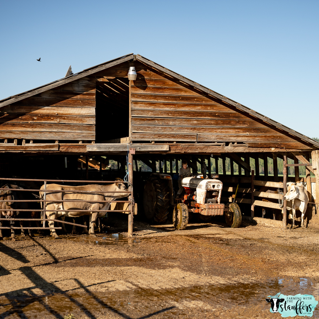 Stepping into the New Year with Faith in Farming: Setting Goals and Embracing Hope