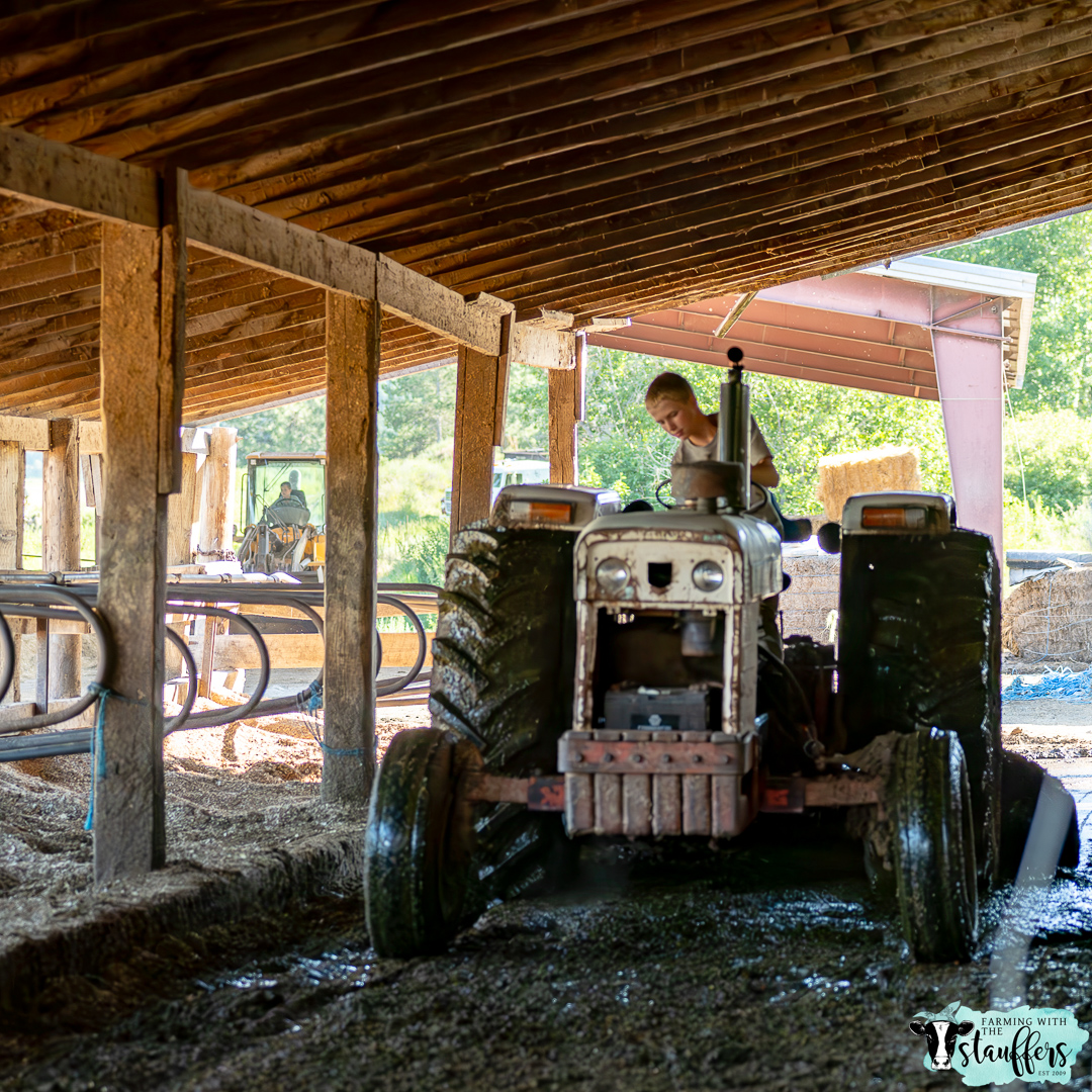 Growing Strong: The Transformative Power of Raising Kids on the Farm